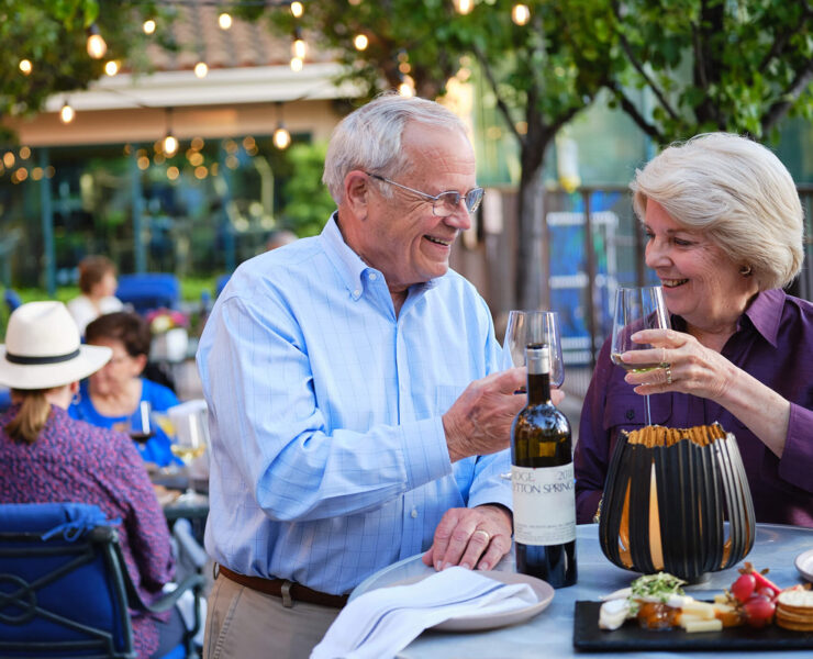 Couple making a toast