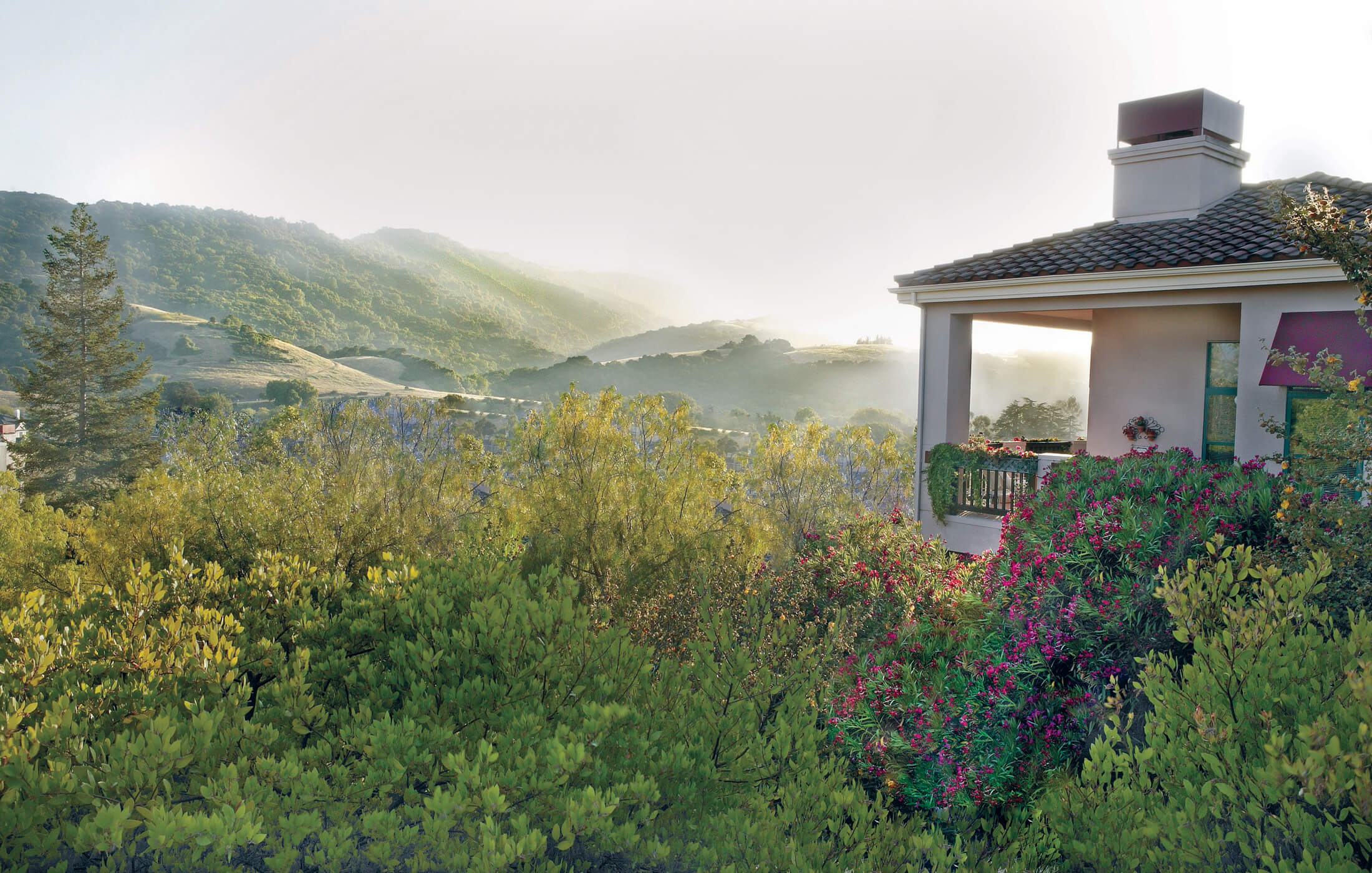 Valley beyond campus